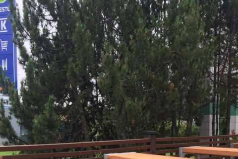 Valmiina ralliin ja kovaan käyttöön!