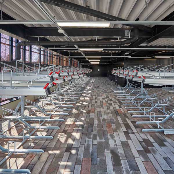 Kaupunkikeskus Lippulaiva, FALCO Level Premium+