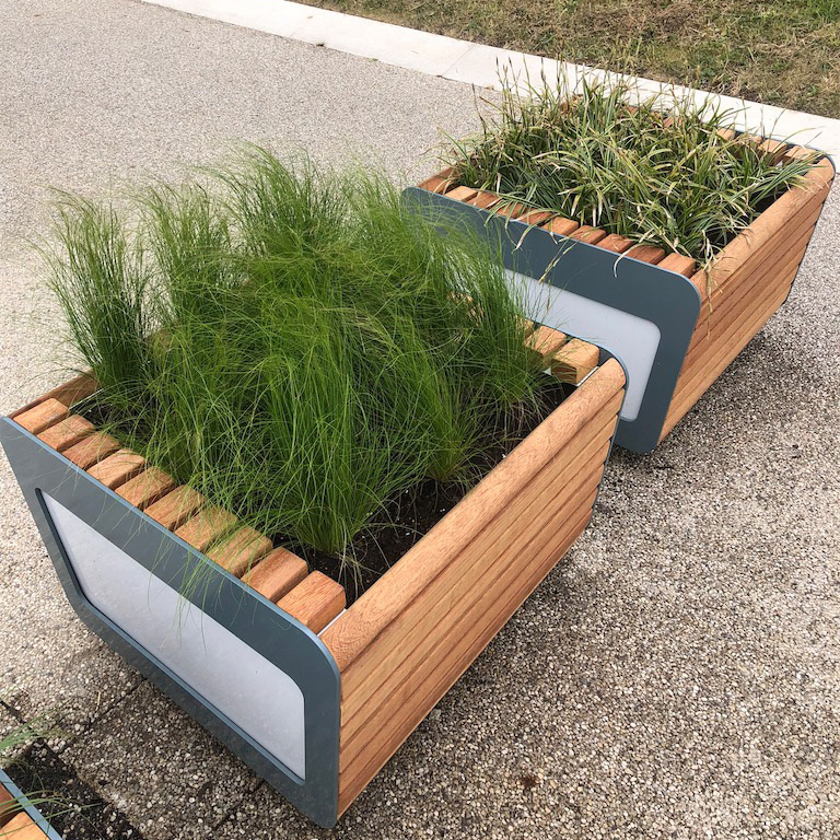 FalcoLinea istutusastiat